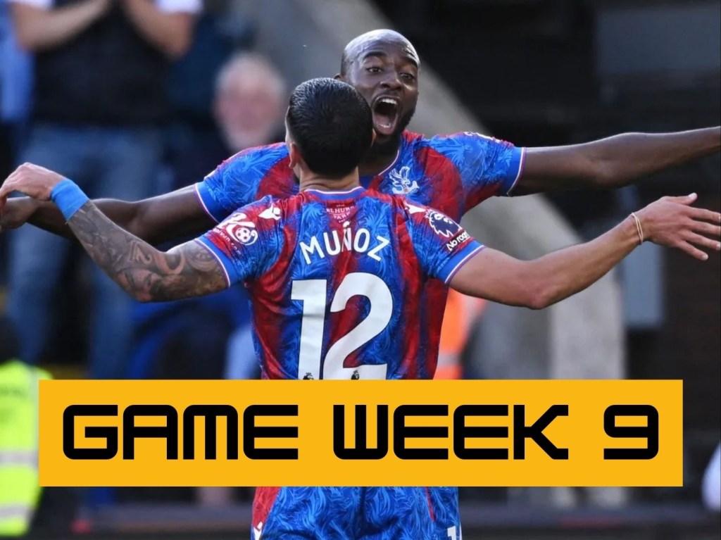 GAME WEEK 9 – PREMIER LEAGUE WEEKLY ROUND UP&nbsp;2024/25