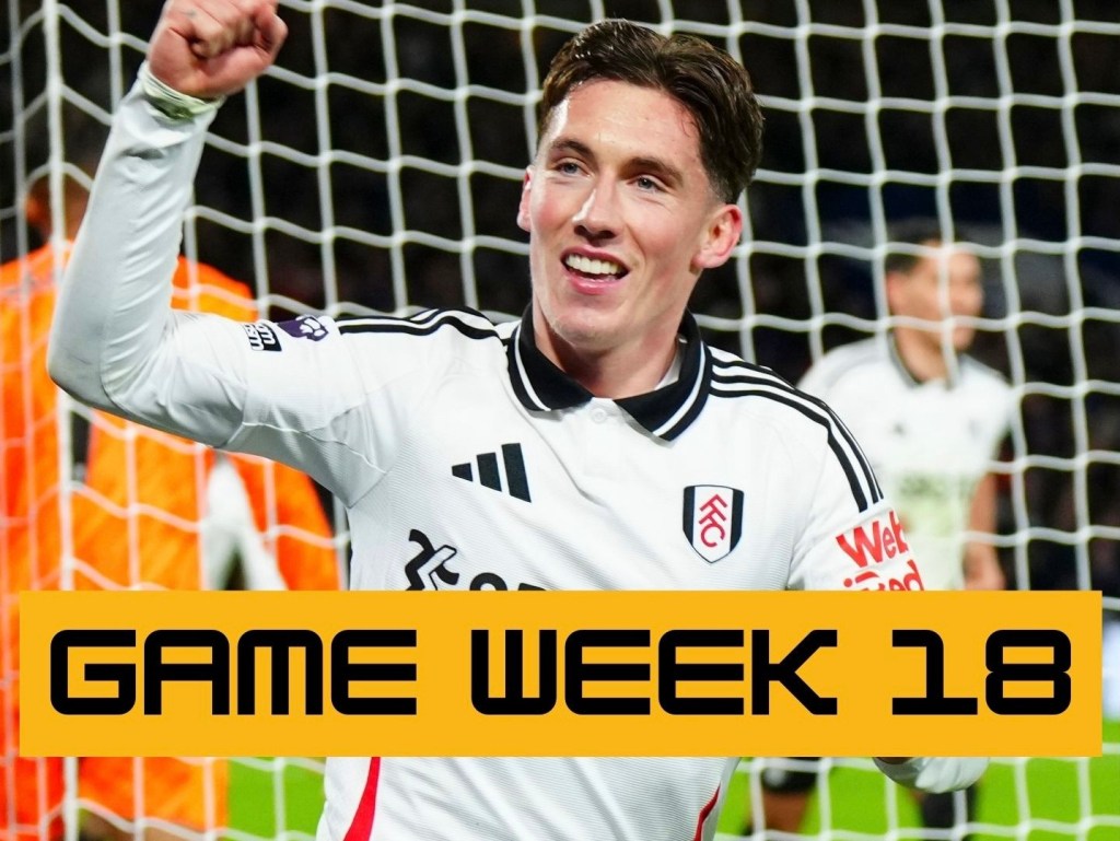 GAME WEEK 18 – PREMIER LEAGUE WEEKLY ROUND UP&nbsp;2024/25